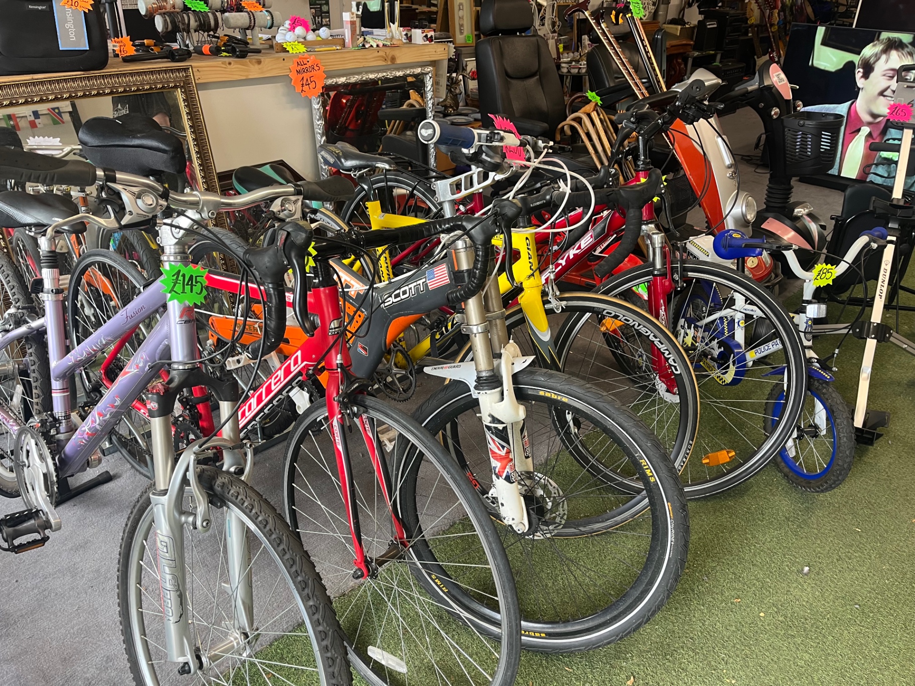 Mixed Bike Range — Road, Hybrid & Kids